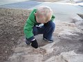 Januar2009 016